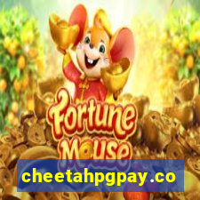 cheetahpgpay.com