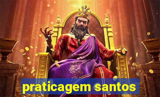 praticagem santos