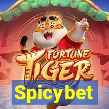 Spicybet