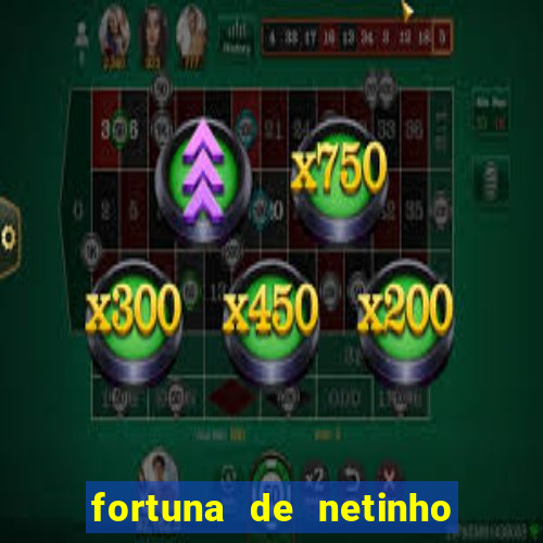 fortuna de netinho de paula