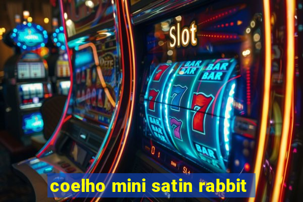 coelho mini satin rabbit