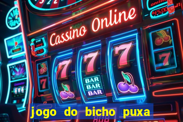 jogo do bicho puxa de dona maria