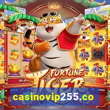 casinovip255.com