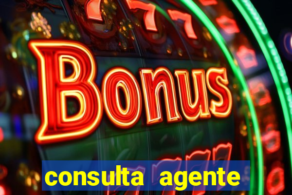 consulta agente autuador sp